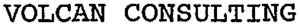 VOLCAN CONSULTING_logo