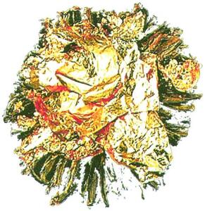 _logo