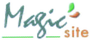 MAGIC SITE_logo