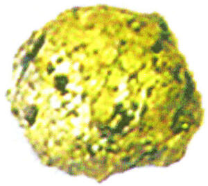 _logo