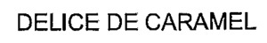 DELICE DE CARAMEL_logo