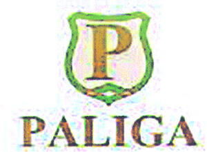 P PALIGA_logo