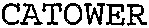 CATOWER_logo
