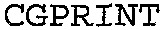 CGPRINT_logo