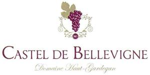 CASTEL DE BELLEVIGNE Domaine Haut-Gardegan_logo