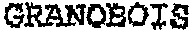 GRANOBOIS_logo