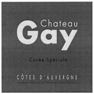 Chateau Gay CÔTES D'AUVERGNE_logo