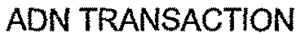 ADN TRANSACTION_logo