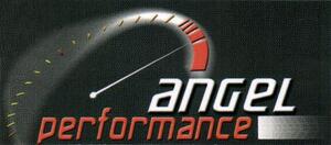 ANGEL PERFORMANCE_logo