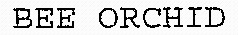 FMARK0000000003640886