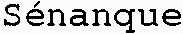 Sénanque_logo