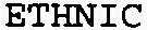 ETHNIC_logo