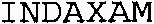 INDAXAM_logo