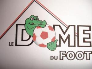 LE DOME DU FOOT_logo