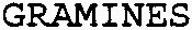 GRAMINES_logo