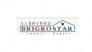 BRIGROSTAR_logo