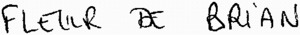 FLEUR DE BRIAN_logo
