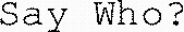 Say Who?_logo