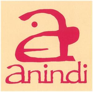 anindi_logo