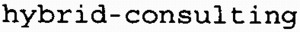hybrid-consulting_logo