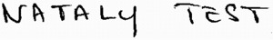 NATALY TEST_logo