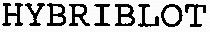 HYBRIBLOT_logo