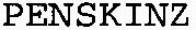 PENSKINZ_logo