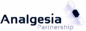 ANALGESIA PARTNERSHIP_logo