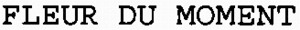 FLEUR DU MOMENT_logo