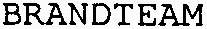 BRANDTEAM_logo