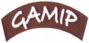FMARK0000000003826331