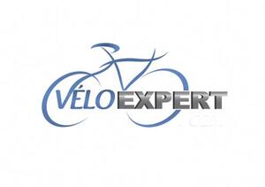 VELOEXPERT_logo