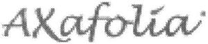 FMARK0000000003842906