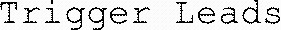 Trigger Leads_logo