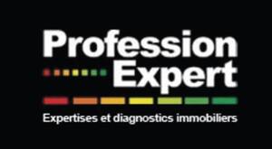 PROFESSION EXPERT EXPERTISES ET DIAGNOSTICS IMMOBILIERS_logo
