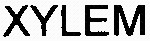 XYLEM_logo