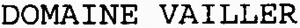 DOMAINE VAILLER_logo