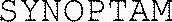 SYNOPTAM_logo