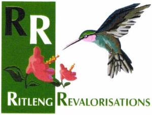 R RITLENG REVALORISATIONS_logo