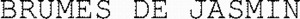 BRUMES DE JASMIN_logo