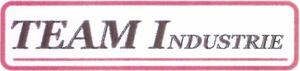 TEAM INDUSTRIE_logo