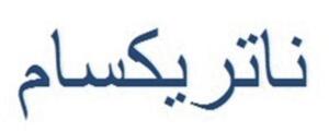 NATRIXAM_logo