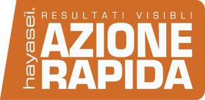 HAYASEI RESULTATI VISIBLI AZIONE RAPIDA_logo