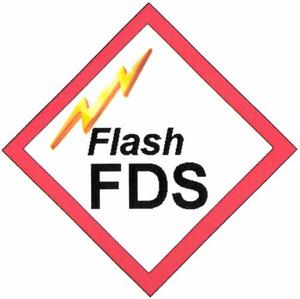 Flash FDS_logo