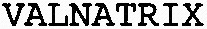 VALNATRIX_logo