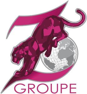 Z GROUPE_logo