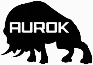 FMARK0000000003985664