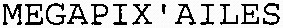 MEGAPIX'AILES_logo