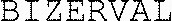 BIZERVAL_logo