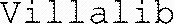 Villalib_logo
